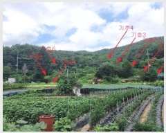  2024Ÿ��4479 ��� ��õ�� �ϵ��� ��긮 38-1      ����(�Ӿ�)���