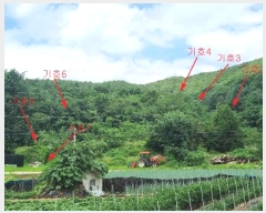  2024Ÿ��4479 ��� ��õ�� �ϵ��� ��긮 38-1      ����(�Ӿ�)���