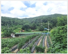  2024Ÿ��4479 ��� ��õ�� �ϵ��� ��긮 38-1      ����(�Ӿ�)���