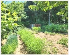  2024Ÿ��79152 ��� ��õ�� ������ ��õ��1160���� 22      ���ð��