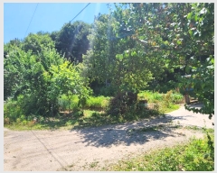  2024Ÿ��79152 ��� ��õ�� ������ ��õ��1160���� 22      ���ð��