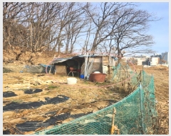  2024Ÿ��91589 ��� ���ֽ� ���赿 685-8       ����(��1)���