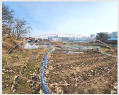  2024Ÿ��91589 ��� ���ֽ� ���赿 685-8       ����(��1)���