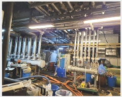  2024Ÿ��3575 ��� �����ν� ����� 76, 7��      ��,�繫�ǰ��