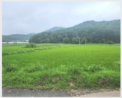  2024Ÿ��4516 ��� ��õ�� ���θ� ������ 375-2      ����(��)���