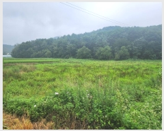  2024Ÿ��4516 ��� ��õ�� ���θ� ������ 375-2      ����(��)���