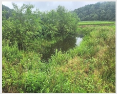  2024Ÿ��4516 ��� ��õ�� ���θ� ������ 375-2      ����(��)���