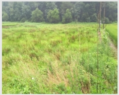  2024Ÿ��4516 ��� ��õ�� ���θ� ������ 375-2      ����(��)���