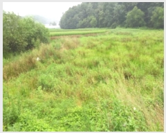  2024Ÿ��4516 ��� ��õ�� ���θ� ������ 375-2      ����(��)���