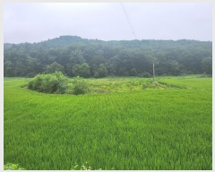  2024Ÿ��4516 ��� ��õ�� ���θ� ������ 375-2      ����(��)���