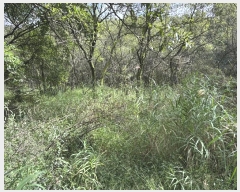  2024Ÿ��5342 ��� ��õ�� �ϵ��� ����� 658      ����(��1)���