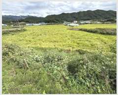  2024Ÿ��5342 ��� ��õ�� �ϵ��� ����� 658      ����(��1)���