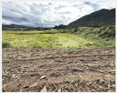  2024Ÿ��5342 ��� ��õ�� �ϵ��� ����� 658      ����(��1)���