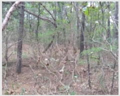  2024Ÿ��5342 ��� ��õ�� �ϵ��� ����� 658      ����(��1)���