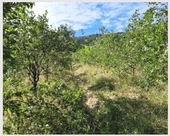  2024Ÿ��5632 ��� ��õ�� ��õ�� ������ 161-1      ����(��1)���