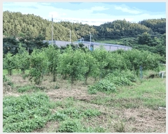  2024Ÿ��5632 ��� ��õ�� ��õ�� ������ 161-1      ����(��1)���