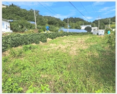  2024Ÿ��5632 ��� ��õ�� ��õ�� ������ 161-1      ����(��1)���