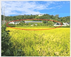  2024Ÿ��5632 ��� ��õ�� ��õ�� ������ 161-1      ����(��1)���