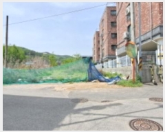  2024Ÿ76238  ֽ 赿 549-4       (1)