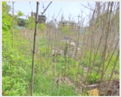  2024Ÿ76238  ֽ 赿 549-4       (1)