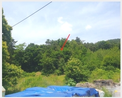  2024Ÿ78760  ֽ 絿 125       (Ӿ)