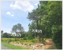  2024Ÿ78760  ֽ 絿 125       (Ӿ)