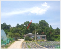  2024Ÿ78760  ֽ 絿 125       (Ӿ)