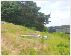  2024Ÿ78760  ֽ 絿 125       (Ӿ)