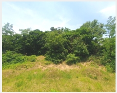  2024Ÿ78760  ֽ 絿 125       (Ӿ)