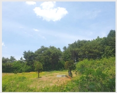  2024Ÿ78760  ֽ 絿 125       (Ӿ)