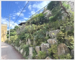  2024Ÿ��84475 ��� ���ֽ� ����� �ΰ 77-27      ����,â�����