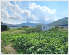  2024Ÿ5557  ֽ 鼮  480      (1)