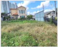  2024Ÿ5557  ֽ 鼮  480      (1)