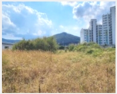  2024Ÿ5557  ֽ 鼮  480      (1)