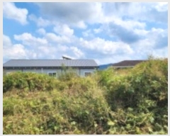  2024Ÿ5557  ֽ 鼮  480      (1)