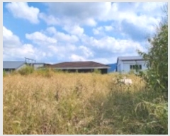  2024Ÿ5557  ֽ 鼮  480      (1)