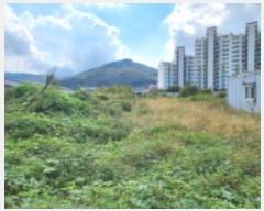  2024Ÿ5557  ֽ 鼮  480      (1)