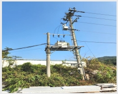  2024Ÿ5922  õ  ϼϸ 23      