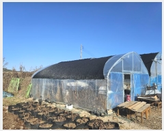  2024Ÿ��6772  ����