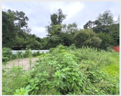  2024Ÿ��81285  ���(�󰡽ü�)���