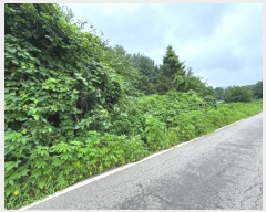  2024Ÿ��81285  ���(�󰡽ü�)���