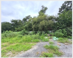  2024Ÿ��81285  ���(�󰡽ü�)���