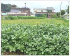  2024Ÿ��84789 ���� ö���� ������ ������ 3361      ����(��)���