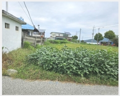  2024Ÿ84789  ö   327-4      (1)