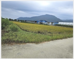  2024Ÿ84789  ö   327-4      (1)