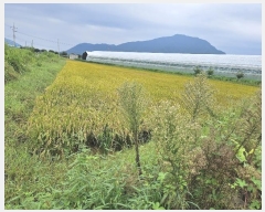  2024Ÿ84789  ö   327-4      (1)