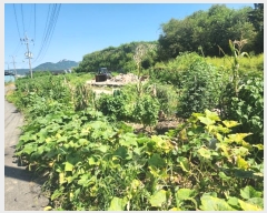  2024Ÿ��85119  ���(�󰡽ü�)���