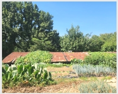  2024Ÿ��85119  ���(�󰡽ü�)���