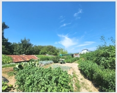  2024Ÿ��85119  ���(�󰡽ü�)���