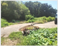  2024Ÿ��85119  ���(�󰡽ü�)���